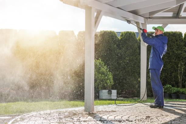Best Driveway Pressure Washing  in Cedar Crest, MA